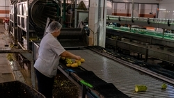 Ещё больше бюджетных мест для рабочих специальностей создадут на Ставрополье