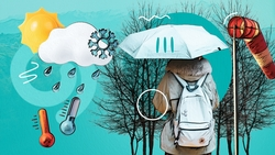 Малоснежная и тёплая: какой обещает быть зима в Будённовском округе