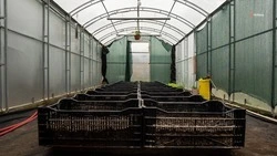 На Ставрополье нарастят господдержку малого агробизнеса