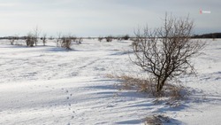 Под управление земельного фонда Ставрополья поступило более 800 тысяч гектаров 