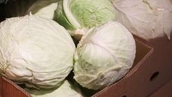 По поручению губернатора края на Ставрополье проверили цены на борщевой набор