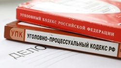 Мужчину подозревают в краже украшений на 50 тыс. руб. в Будённовском округе