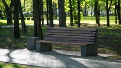 Новая зона отдыха появится в Будённовском округе по губернаторской программе 