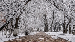 Глава Ставрополья призвал службы подготовиться к похолоданию