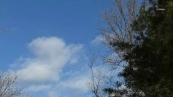 До +10 градусов ожидается 21 февраля в Будённовском округе