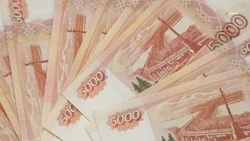 Мать и дочь из Будённовска обманули банк на 30 млн рублей под видом бизнеса