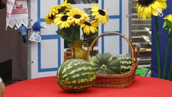 Будённовский врач предупредила о вреде арбуза при диабете и других заболеваниях