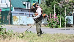В Будённовском округе убрали 300 тыс. кв. м сорняков