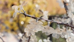 В Будённовском округе завершили благоустройство территорий по госпрограмме