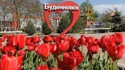 Космос, автогородки и качели для взрослых: как сегодня выглядят главные зоны отдыха в Будённовске
