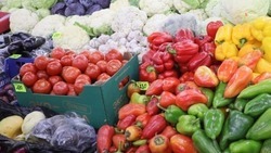 Ставропольский эксперт посоветовал дробное питание и отказ от газировки в жару