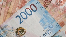 Единое пособие получили родители более 200 тыс. детей на Ставрополье