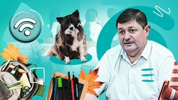 Готовность школ, интернет и питомник для собак: что обсудили на прямой линии главы Будённовского округа