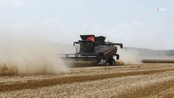 Аграрии Ставрополья собрали более 4,5 тыс. тонн зерна