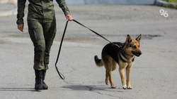 Телефонные террористы заминировали две школы №1 в Будённовском округе