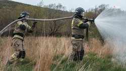 Сотрудники лесопожарных станций проводят круглосуточный мониторинг на Ставрополье