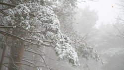 На Ставрополье надвигаются снегопады, введён решим повышенной готовности