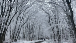 Почти 70 тыс. тонн противогололёдных материалов заготовили к зиме на Ставрополье