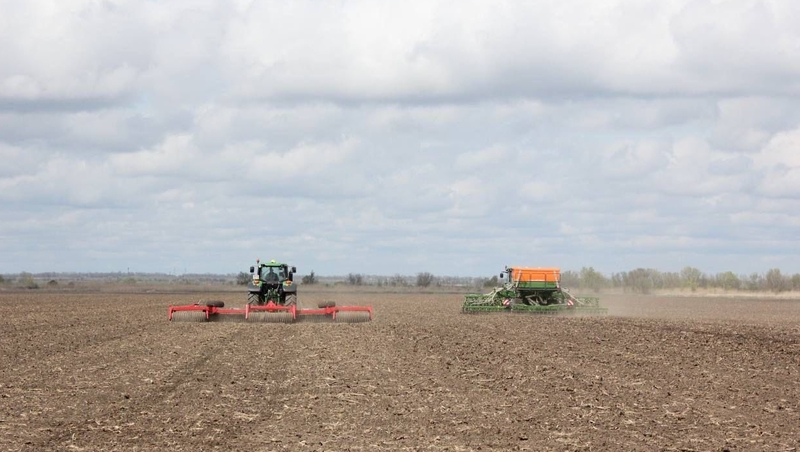 Ставропольские аграрии приступили к севу озимого рапса