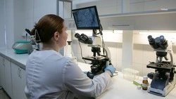 На Ставрополье завершается проверка семян к весеннему севу