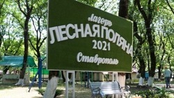 Летние лагеря Ставрополья готовятся к оздоровительной кампании
