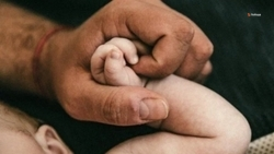 Более 2 тыс. бесплатных процедур ЭКО проведут на Ставрополье в 2024 году