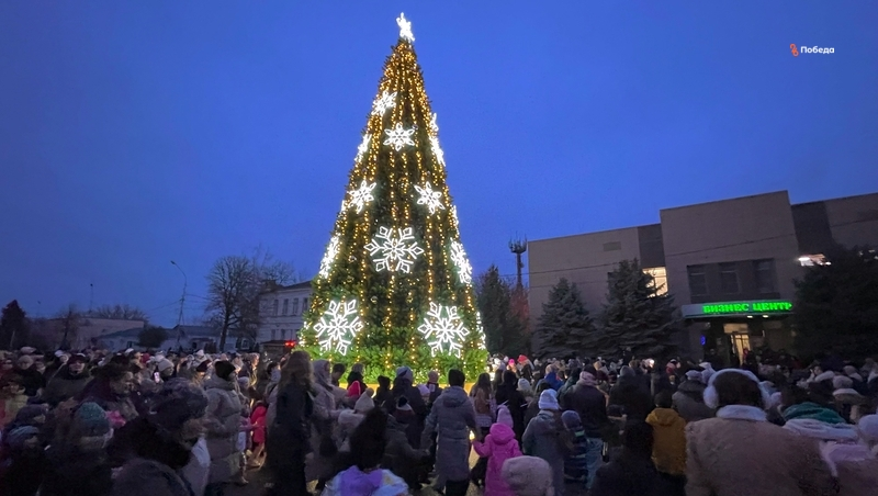 Дед Мороз, хоровод и конь Юлий: В Будённовске зажгли главную ёлку округа
