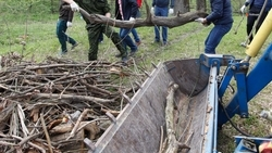 Более 183 тыс. ставропольцев приняли участие в экологических акциях