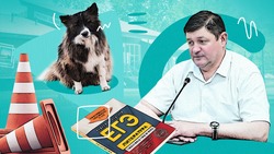 Летние каникулы, бродячие животные и кинотеатр: какие вопросы будённовцы задавали главе округа на прямой линии