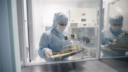 Ещё 455 ставропольцев вылечились от коронавируса за неделю