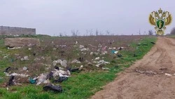 Прокуратура требует убрать мусорный полигон в Будённовске