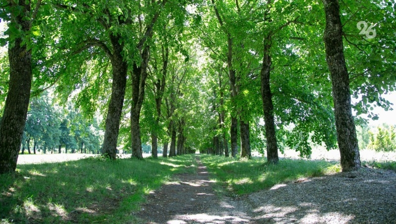 На Ставрополье учредили охраняемую природную территорию площадью в 42 га