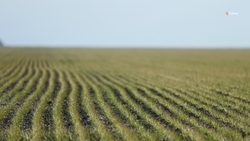 Системы мелиорации расширят до 100 тыс. га на Ставрополье в 2024 году