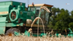 Ставрополье наращивает производство сельскохозяйственных культур