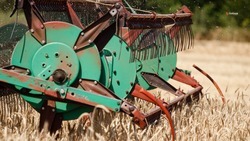 Уборка зерновых культур стартовала в Будённовском округе