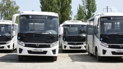 Более полусотни новых автобусов прибыли на Ставрополье 