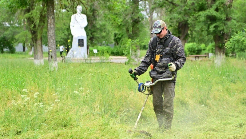 Сорняки на 10 га площадей выкосят в Будённовском округе