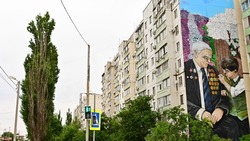В Будённовске появилось граффити с изображением ветерана Великой Отечественной войны