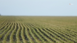 Объекты мелиорации просубсидировали на Ставрополье в 2023 году