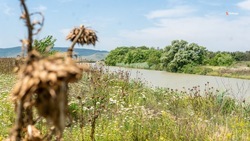Сезонный пруд в Прасковее поможет избавить местных жителей от подтоплений