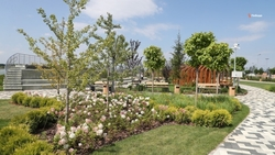 Новая зона отдыха появится в селе на Ставрополье благодаря госпрограмме