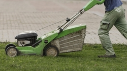 Специалистов по озеленению и выращиванию кристаллов ищут на Ставрополье