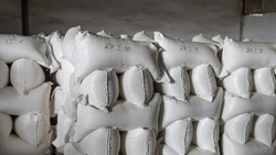 Ставрополье наладит экспортное сотрудничество с Египтом