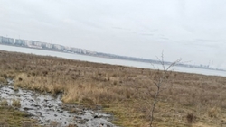 Река из биологических отходов чудом не дотекла до озера Буйвола