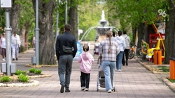 Многодетные семьи Ставрополья получат единое удостоверение