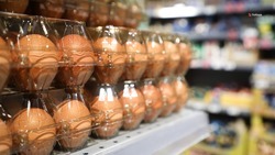 На 4,6% снизились цены на куриные яйца на Ставрополье