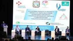 В Ставрополе прошла конференция для индивидуальных предпринимателей 