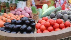 Стоимость овощей, входящих в «борщевой набор», увеличилась на Ставрополье