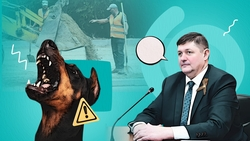 Дороги, транспорт и агрессивные собаки: о чём будённовцы спрашивали главу округа на прямой линии