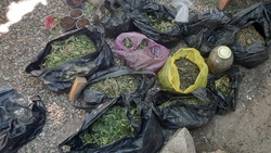 Почти 5 кг марихуаны изъяли у жителя села Прасковея